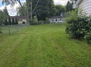 Deborah C.'s Lawn Mowing Service service result