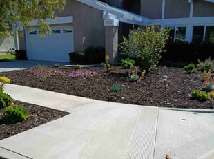 Weeding by Rodrigo Rodriguez for Preston W. in Irvine, CA