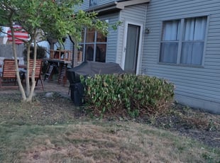 Bush Trimming by Chris Steinhour for Raman S. in Lewis Center, OH