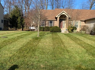 Leaf Removal by David Walton for Hitesh A. in Westerville, OH