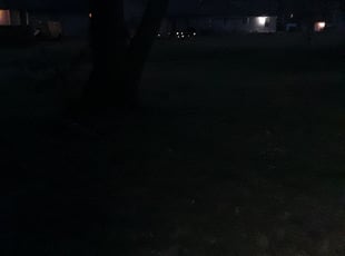 Shirley E.'s Leaf Removal service result
