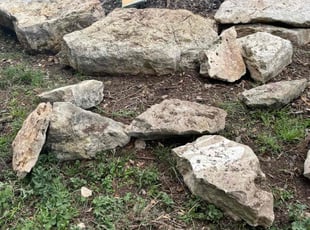 Bush Trimming by Dustin Devall for Maria Z. in Canyon Lake, TX