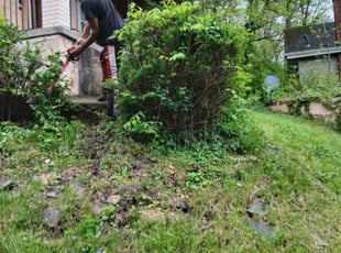 Bush Trimming by James Abernathy for Vanessa K. in Cincinnati, OH
