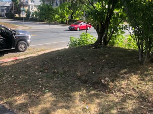 Landscaping by Chris Wimler for Jennifer S. in West Hartford, CT
