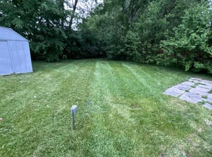 Cleanups by Kyle Yacko for Damon W. in Roseville, MI