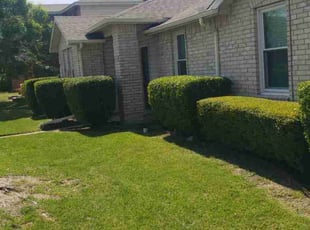 Bush Trimming by Jose Luciano for David V. in Rockwall, TX