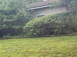 Bush Trimming by Alain Beckfordxx for Gage R. in Tampa, FL