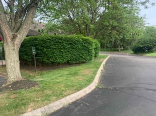 Leaf Removal by B.J. Schuetz for Michelle C. in Westerville, OH