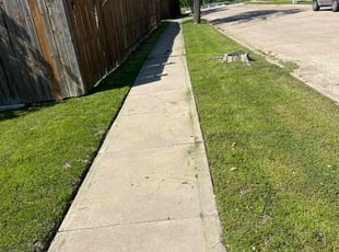 Darryl R.'s Yard Cutting service result