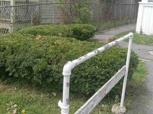 Bush Trimming by Kema Ndebay for Mary Allen M. in Syracuse, NY