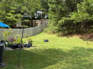 Miguel A.'s Lawn Service service result