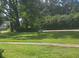 Patrick M.'s Lawn Care service result