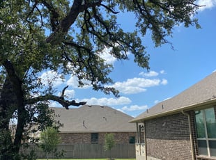 MaryAnne A.'s Lawn Mowing service result