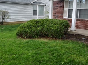 Bush Trimming by Charles Davis for Darren S. in Florissant, MO