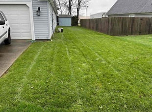 Jamie W.'s Lawn Mowing service result
