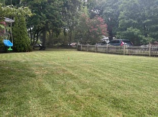 Leaf Removal by Chris Bruhh for Ben K. in Richmond, VA