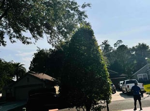 Bush Trimming by Delson Auguste for May W. in Jacksonville, FL