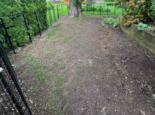 Leaf Removal by Darnell Williams for Amanda B. in Rochester, NY