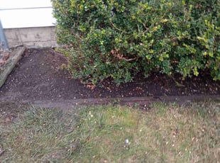Weeding by Jason Skeens for Andrea J. in Columbus, OH