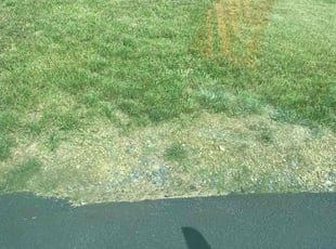 Weeding by James Branoff for Vasu S. in Enola, PA