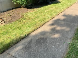 Bush Trimming by Thomas Abney for Phillip W. in Akron, OH