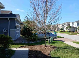Landscaping by sergio beltran for Gwynette D. in Seminole, FL