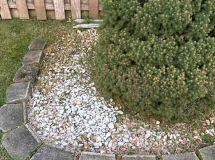 Weeding by Dustin Spangler for Myesha W. in Rock Island, IL