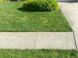 LuAnn P.'s Lawn Mowing service result