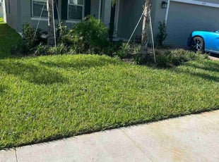 Ed s.'s Yard Cutting service result