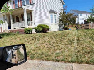 Bush Trimming by Mark Burke for Rachel C. in Manassas, VA