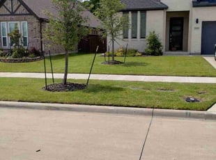 Belinda N.'s Lawn Service service result