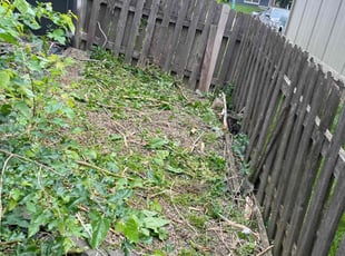 Cleanups by Sedrick Wesley for Eric W. in Kansas City, MO
