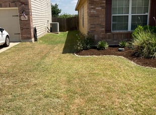 Weeding by Rebecca Ferrara for Richard A. in San Antonio, TX
