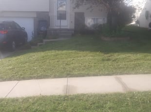 Bush Trimming by MICHAEL OFLAHERTY for Taylor D. in Omaha, NE