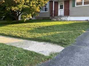 Angela B.'s Lawn Maintenance service result