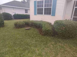 Bush Trimming by Robert Nelams for Paul S. in Leesburg, FL