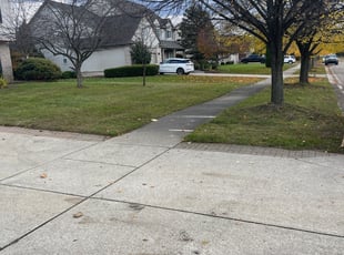 Leaf Removal by Carnell Garrett for Ana H. in West Bloomfield Township, MI
