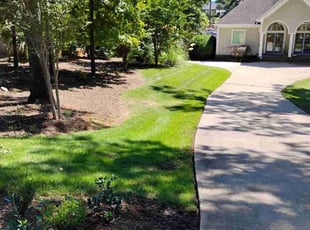 Donnie M.'s Yard Cutting service result