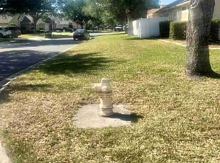 Leaf Removal by Robert Williams for Joshua T. in Orange Park, FL