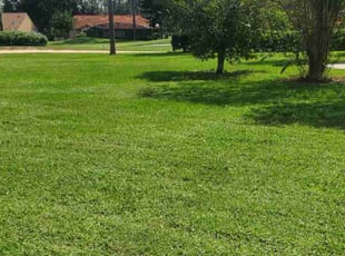 Melissa D.'s Grass Cutting service result