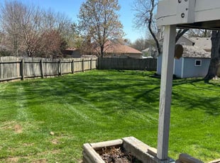 Josie H.'s Lawn Service service result