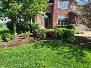 Ana R.'s Lawn Care service result