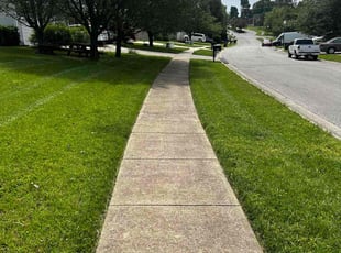 Deborah H.'s Lawn Service service result