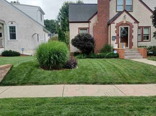 Bush Trimming by David Gallaway for Alyssa B. in Saint Paul, MN
