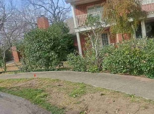 Bush Trimming by Jesus Valencia for Shauntelle B. in Plano, TX