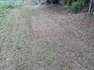 Cleanups by Jerry Wells for Roderica J. in Baton Rouge, LA