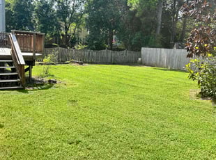 Karen M.'s Grass Cutting service result