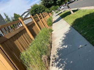 Bush Trimming by Fernando Sedano for Justine M. in Denver, CO