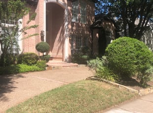 Weeding by Haley Hougen for Cindy S. in Dallas, TX
