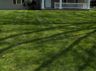 Nicole S.'s Lawn Maintenance service result